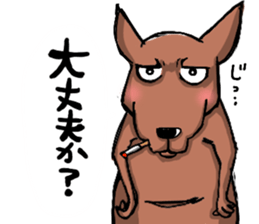 kangaroo? sticker #3679603