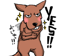 kangaroo? sticker #3679608