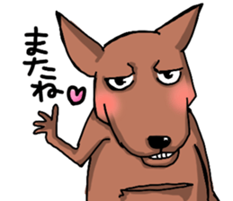 kangaroo? sticker #3679616