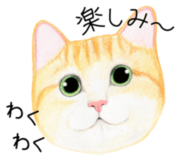 Cat Conversation sticker #3681072