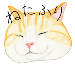 Cat Conversation sticker #3681073