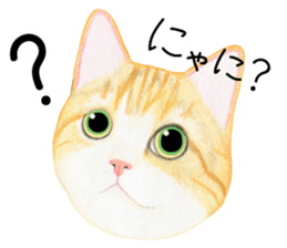 Cat Conversation sticker #3681074