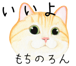 Cat Conversation sticker #3681076