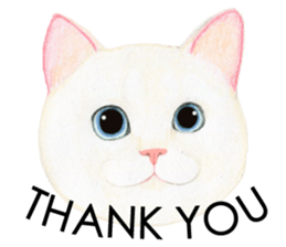 Cat Conversation sticker #3681077