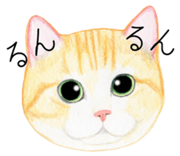 Cat Conversation sticker #3681079