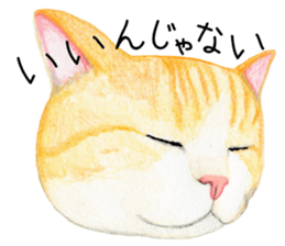 Cat Conversation sticker #3681081