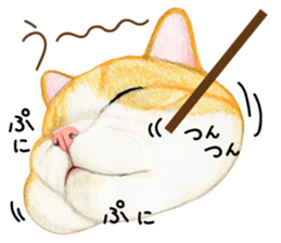 Cat Conversation sticker #3681082