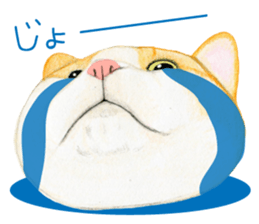 Cat Conversation sticker #3681083