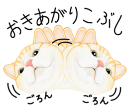 Cat Conversation sticker #3681086