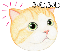 Cat Conversation sticker #3681087