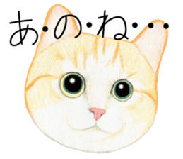 Cat Conversation sticker #3681088