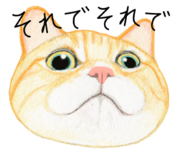 Cat Conversation sticker #3681089