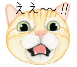 Cat Conversation sticker #3681090