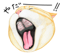 Cat Conversation sticker #3681092