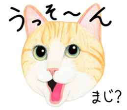 Cat Conversation sticker #3681093