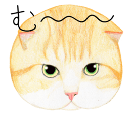 Cat Conversation sticker #3681094