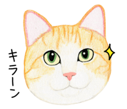 Cat Conversation sticker #3681095