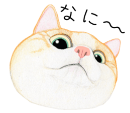 Cat Conversation sticker #3681096