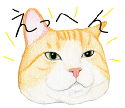 Cat Conversation sticker #3681098
