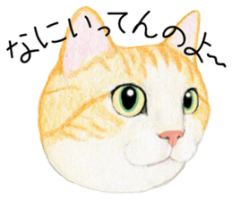 Cat Conversation sticker #3681099