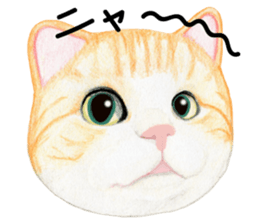 Cat Conversation sticker #3681110