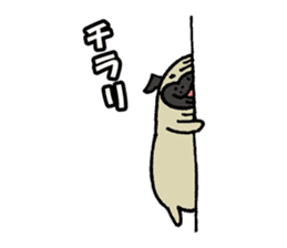 Japanese pug stickers sticker #3681600