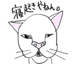 Colorful Cat in Osaka sticker #3681759