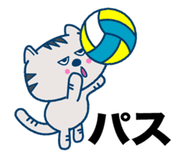 The cat which plays volleyball sticker #3685233