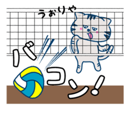 The cat which plays volleyball sticker #3685249