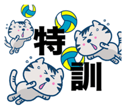The cat which plays volleyball sticker #3685251