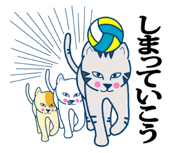 The cat which plays volleyball sticker #3685261