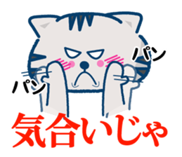 The cat which plays volleyball sticker #3685266