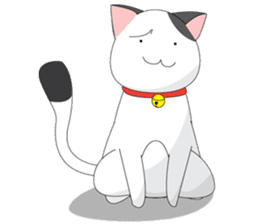 Shiro white cat with a fun. sticker #3686917