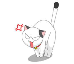 Shiro white cat with a fun. sticker #3686925
