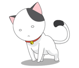 Shiro white cat with a fun. sticker #3686927