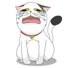 Shiro white cat with a fun. sticker #3686928