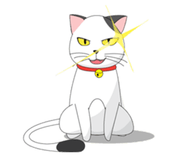 Shiro white cat with a fun. sticker #3686932