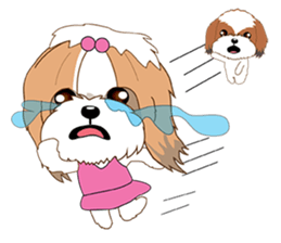 Shih Tzu Couple YaYa & YoYo sticker #3688164