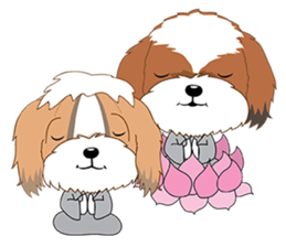 Shih Tzu Couple YaYa & YoYo sticker #3688186