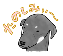 Vikuo sticker #3690800