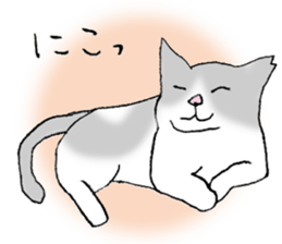 A wild cat and a domestic cat Part 2 sticker #3691413