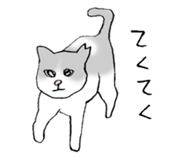 A wild cat and a domestic cat Part 2 sticker #3691425