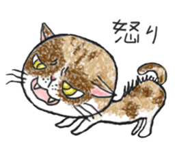 Is tabby cat sticker #3691629