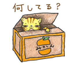 Is tabby cat sticker #3691640