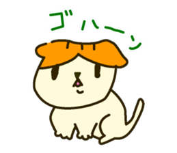 Daily Scottish Fold sticker #3692450