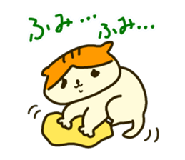 Daily Scottish Fold sticker #3692465