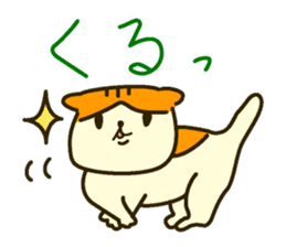 Daily Scottish Fold sticker #3692468