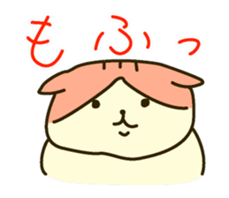 Daily Scottish Fold sticker #3692478