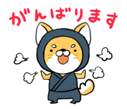 Shibainu Ninja sticker #3692769