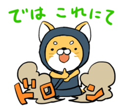 Shibainu Ninja sticker #3692777